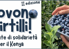 La Guida - Mirtilli solidali per il Kenya
