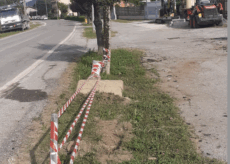 La Guida - Incidente stradale a Boves, abbattuto un palo della luce