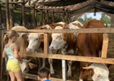 La Guida - Un’ecostalla per dare lavoro a chi è in difficoltà