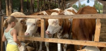La Guida - Un’ecostalla per dare lavoro a chi è in difficoltà