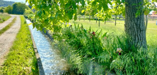La Guida - Calo dell’acqua ad uso irriguo in territorio peveragnese