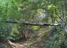 La Guida - Nuovi interventi dell’Aib di Peveragno