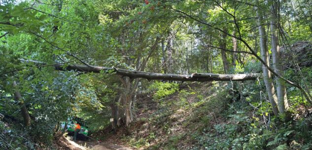 La Guida - Nuovi interventi dell’Aib di Peveragno