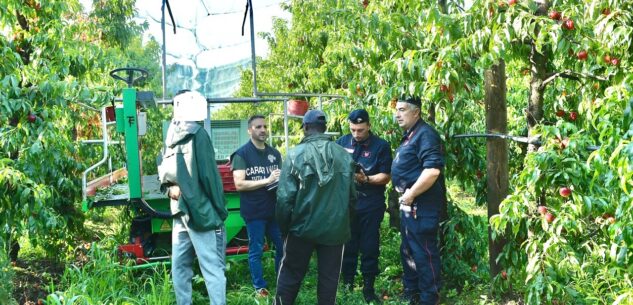 Operai sotto il sole, senza contratto e non pagati regolarmente: il bilancio dei controlli anti-caporalato dei Carabinieri nel cuneese La Guida - Operai sotto il sole, senza contratto e non pagati regolarmente: il bilancio dei controlli anti-caporalato dei Carabinieri nel cuneese