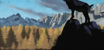 La Guida - Bracconaggio e indagini
