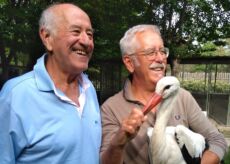 La Guida - Festa d’estate, una cicogna per ricordare Mauro Fissore