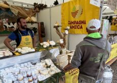 La Guida - Al lavoro per la Fiera del Marrone, sarà a Cuneo dal 17 al 19 ottobre