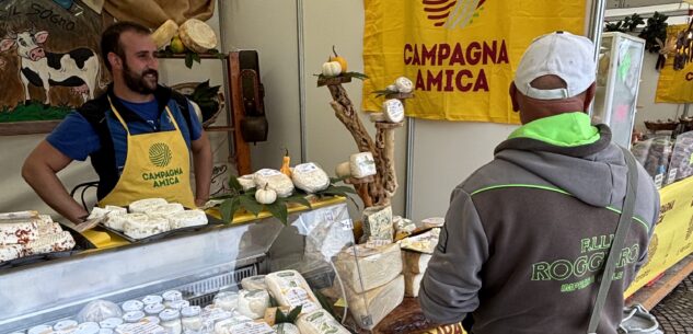 La Guida - Al lavoro per la Fiera del Marrone, sarà a Cuneo dal 17 al 19 ottobre