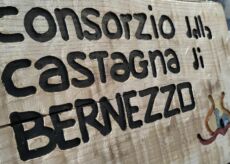 La Guida - Bernezzo, la castagna protagonista di un concorso fotografico