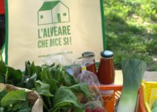 La Guida - Centallo, al Movi il progetto di vendita diretta “Alveare”