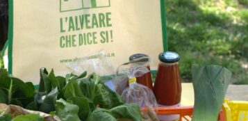 La Guida - Centallo, al Movi il progetto di vendita diretta “Alveare”