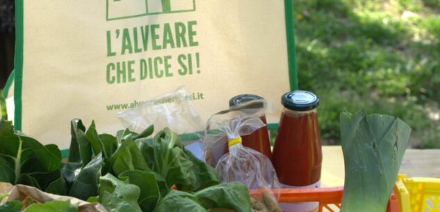 La Guida - Centallo, al Movi il progetto di vendita diretta “Alveare”