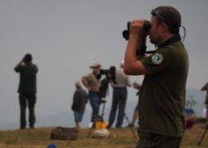 La Guida - Birdwatching a Bric Lombatera di Paesana