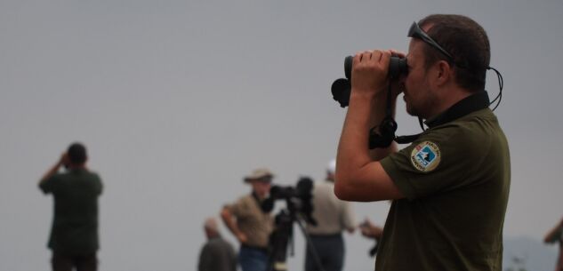 La Guida - Birdwatching a Bric Lombatera di Paesana