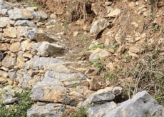 La Guida - Un milione di euro per far rinascere i terrazzamenti storici
