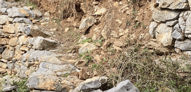 La Guida - Un milione di euro per far rinascere i terrazzamenti storici