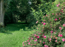 La Guida - Alla scoperta di tre giardini storici di Savigliano