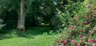 Alla scoperta di tre giardini storici di Savigliano La Guida - Alla scoperta di tre giardini storici di Savigliano