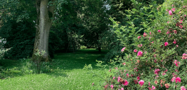 La Guida - Alla scoperta di tre giardini storici di Savigliano
