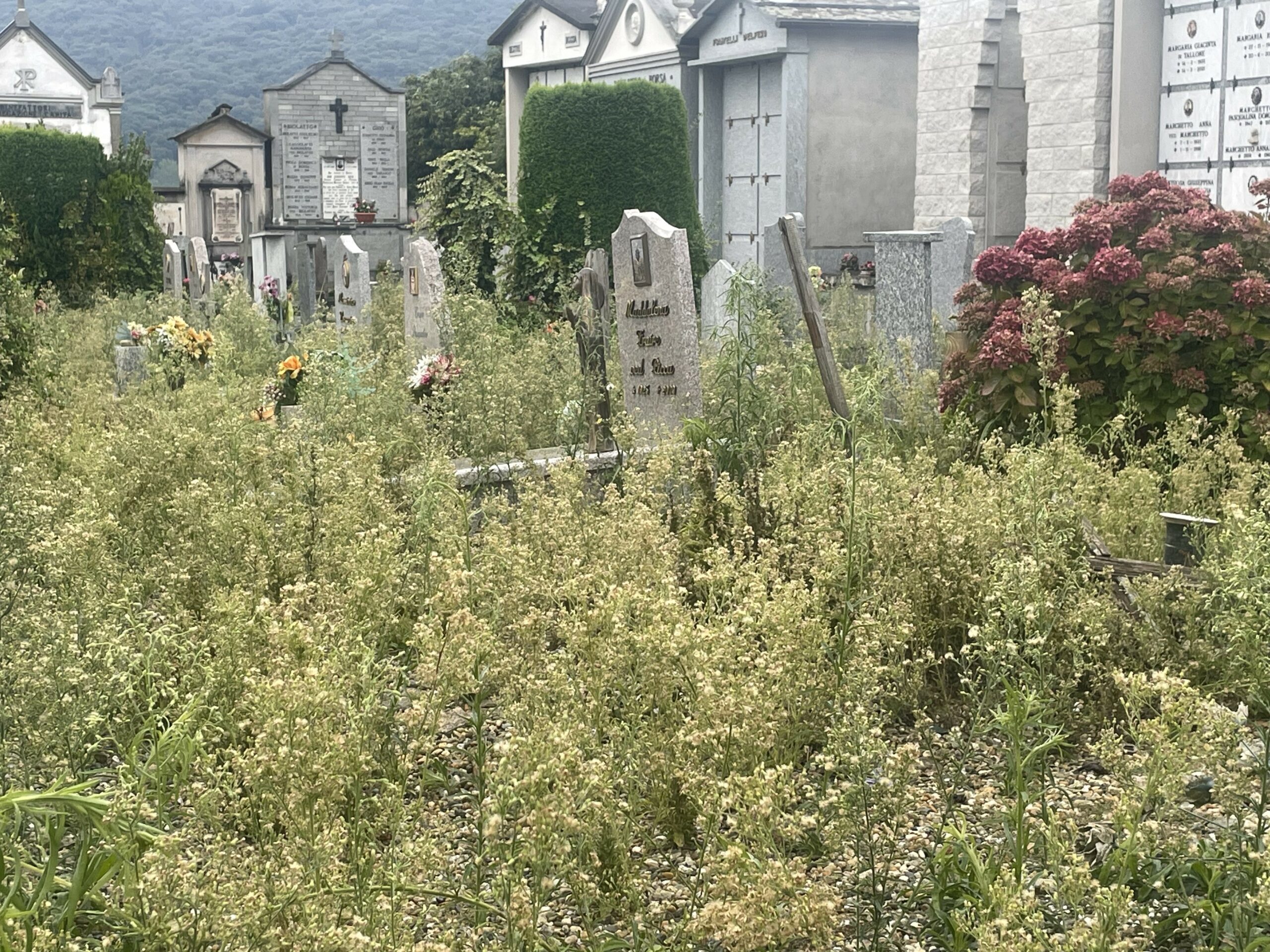 degrado nel cimitero di Paesana