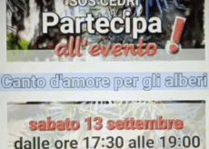 La Guida - Dieci poeti per i dieci cedri di piazza Europa