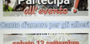 Dieci poeti per i dieci cedri di piazza Europa La Guida - Dieci poeti per i dieci cedri di piazza Europa