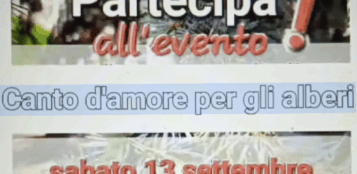 Dieci poeti per i dieci cedri di piazza Europa La Guida - Dieci poeti per i dieci cedri di piazza Europa