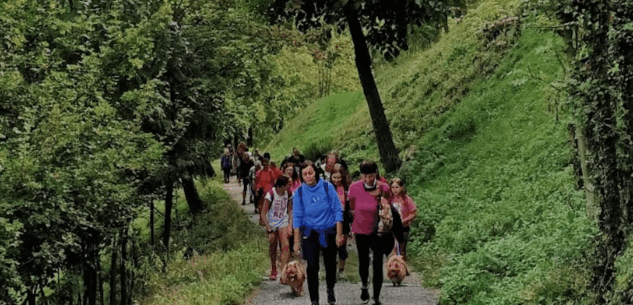 La Guida - Aperte le adesioni per la camminata in ricordo di Gabriele Fantino