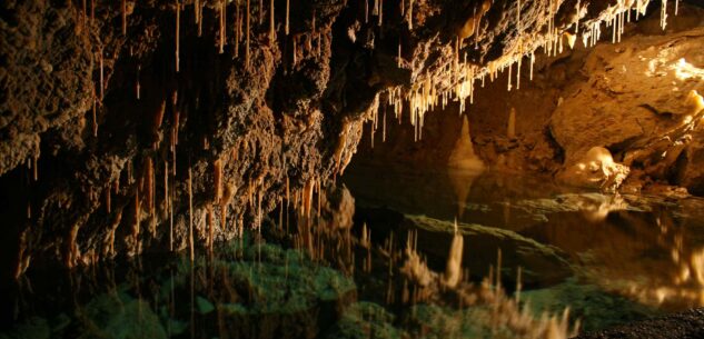 La Guida - Visita alle grotte di Borgio Verezzi con l’Università della Valle Po