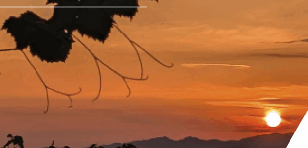 La Guida - Monferrato in punta di penna