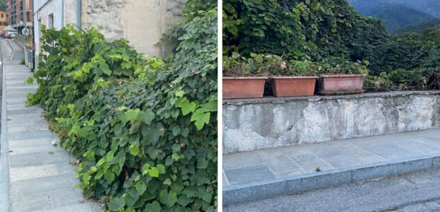 La Guida - Ripulito dalle erbacce il marciapiedi di via Nazionale a Paesana