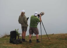 La Guida - Birdwatchers con il Parco del Monviso
