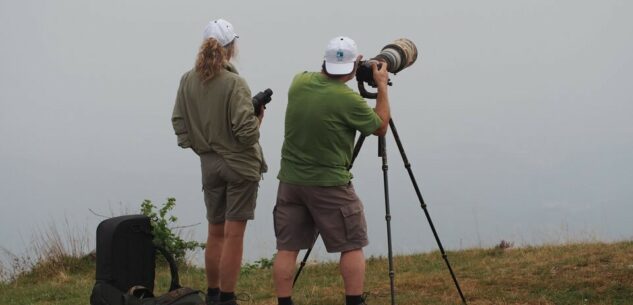La Guida - Birdwatchers con il Parco del Monviso