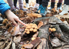La Guida - Dal Parco del Monviso 500 ore gratuite di educazione ambientale per le scuole del territorio