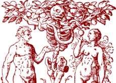 La Guida - Chiamare male ciò che è male, senza  smettere però di vedere la persona da rispettare, tutelare, persino amare