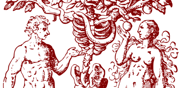 La Guida - È proprio vero che l’umanità peggiora ogni giorno di più, e chissà dove andremo a finire?