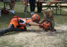 La Guida - All’Oktoberfest Cuneo le selezioni per la nazionale dei boscaioli