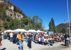 La Guida - Numeri record per il Galà della Castagna d’Oro