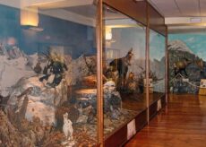 La Guida - Anche il Museo Naturalistico del Po aderisce alla Giornata Nazionale delle Famiglie al Museo