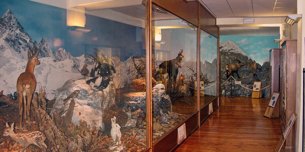 Anche il Museo Naturalistico del Po aderisce alla Giornata Nazionale delle Famiglie al Museo