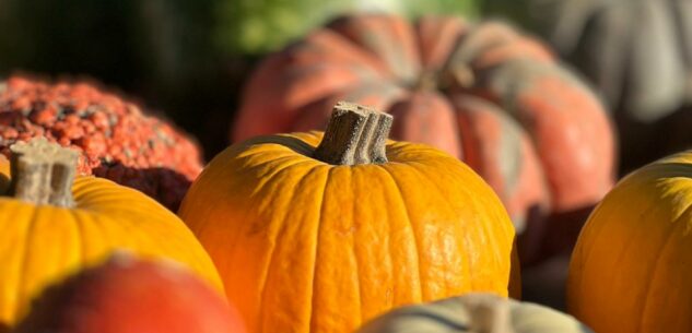 La Guida - Piozzo, oltre 60.000 visitatori alla Fiera della Zucca
