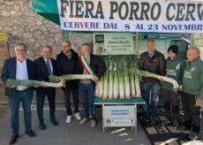 La Guida - Al via la stagione del Porro di Cervere