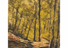 La Guida - In ascolto del bosco