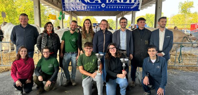 La Guida - Alba: i vincitori della rassegna bovina dedicata alla razza Piemontese