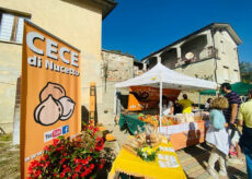 La Guida - La festa del Cece di Nucetto