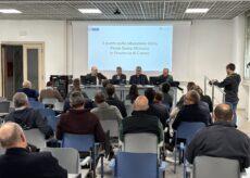 La Guida - Peste suina africana, il punto della situazione nella Granda