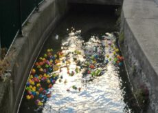 La Guida - Ultimo fine settimana di festa con i Santi Coronati