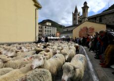 La Guida - In treno alla Festa della pecora brigasca a La Brigue