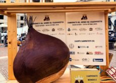 La Guida - È tempo di “Festa del Re Marrone” a Chiusa Pesio