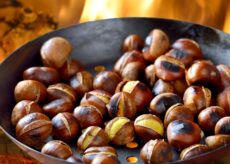 La Guida - Il primo spettacolo pirotecnico diurno del Piemonte accanto ai mundajè di Brondello